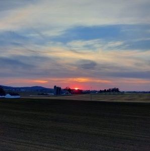 Meet your Posher, Diane